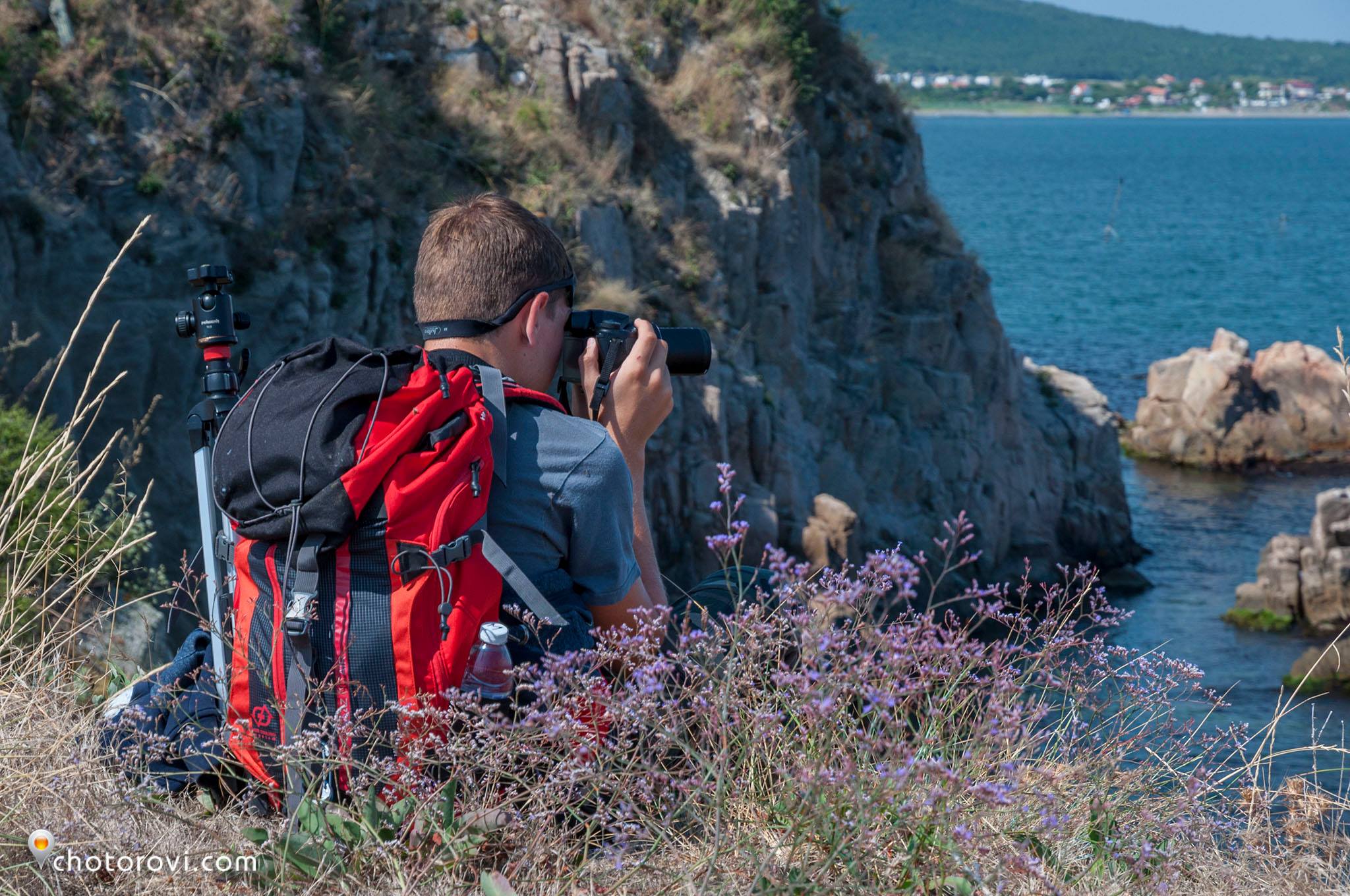 <a id="anchor1"></a>Who am I?